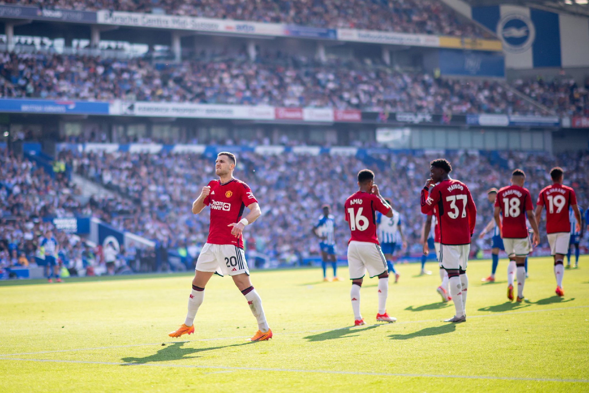 新的活力 新的活力