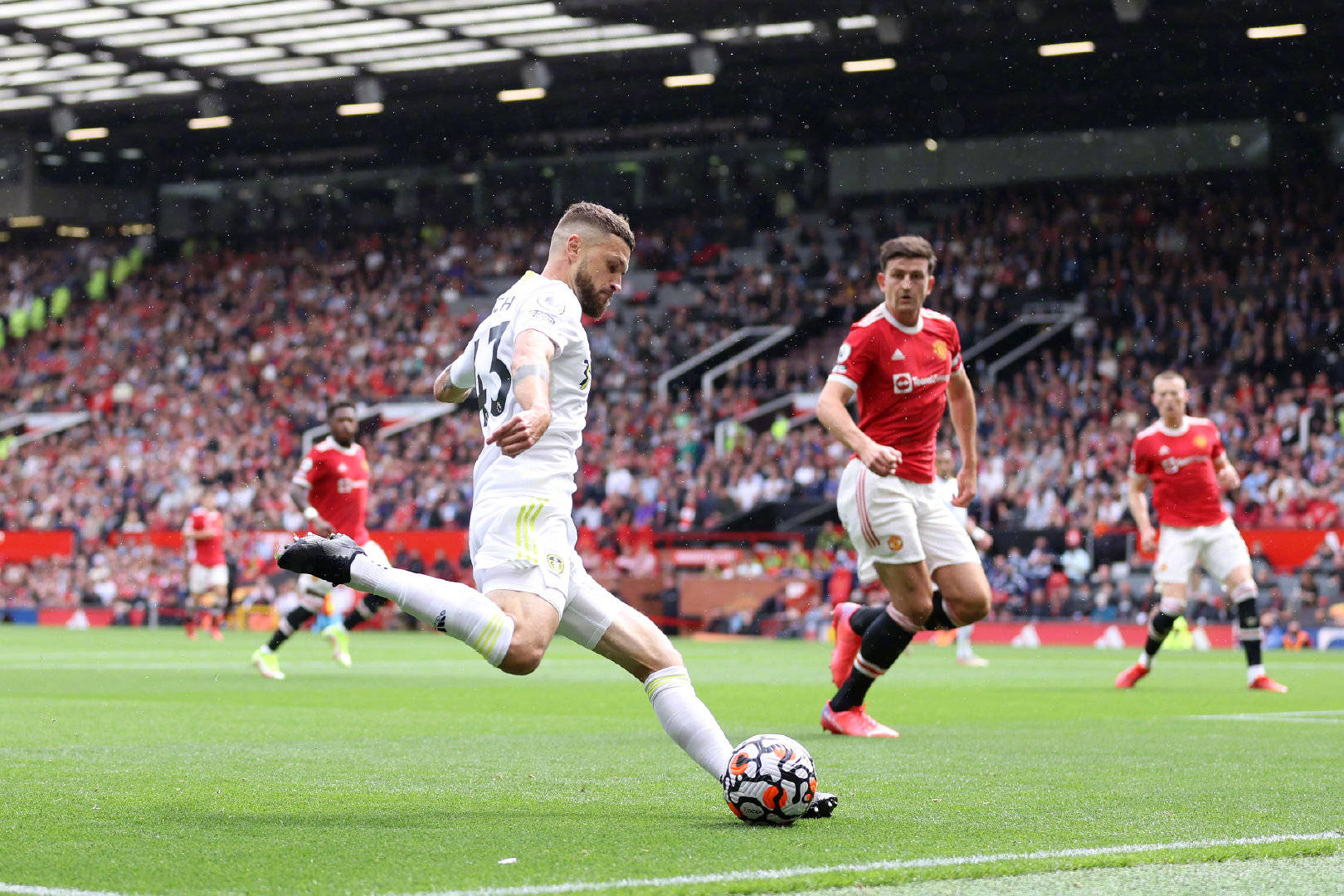 这一决定主 这一决定主